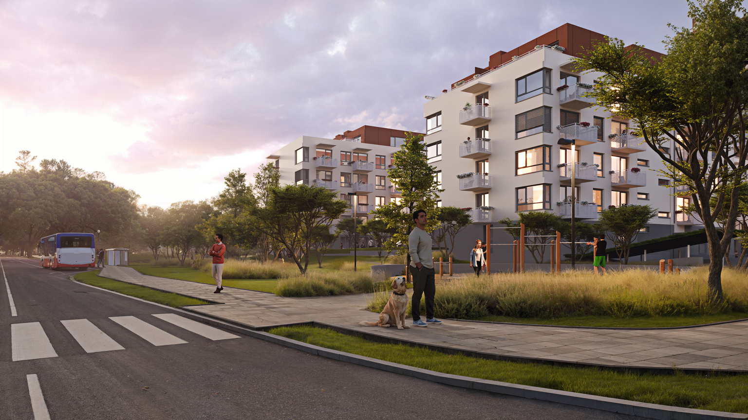 Mfd Project MFD Management | Development Management & Investment