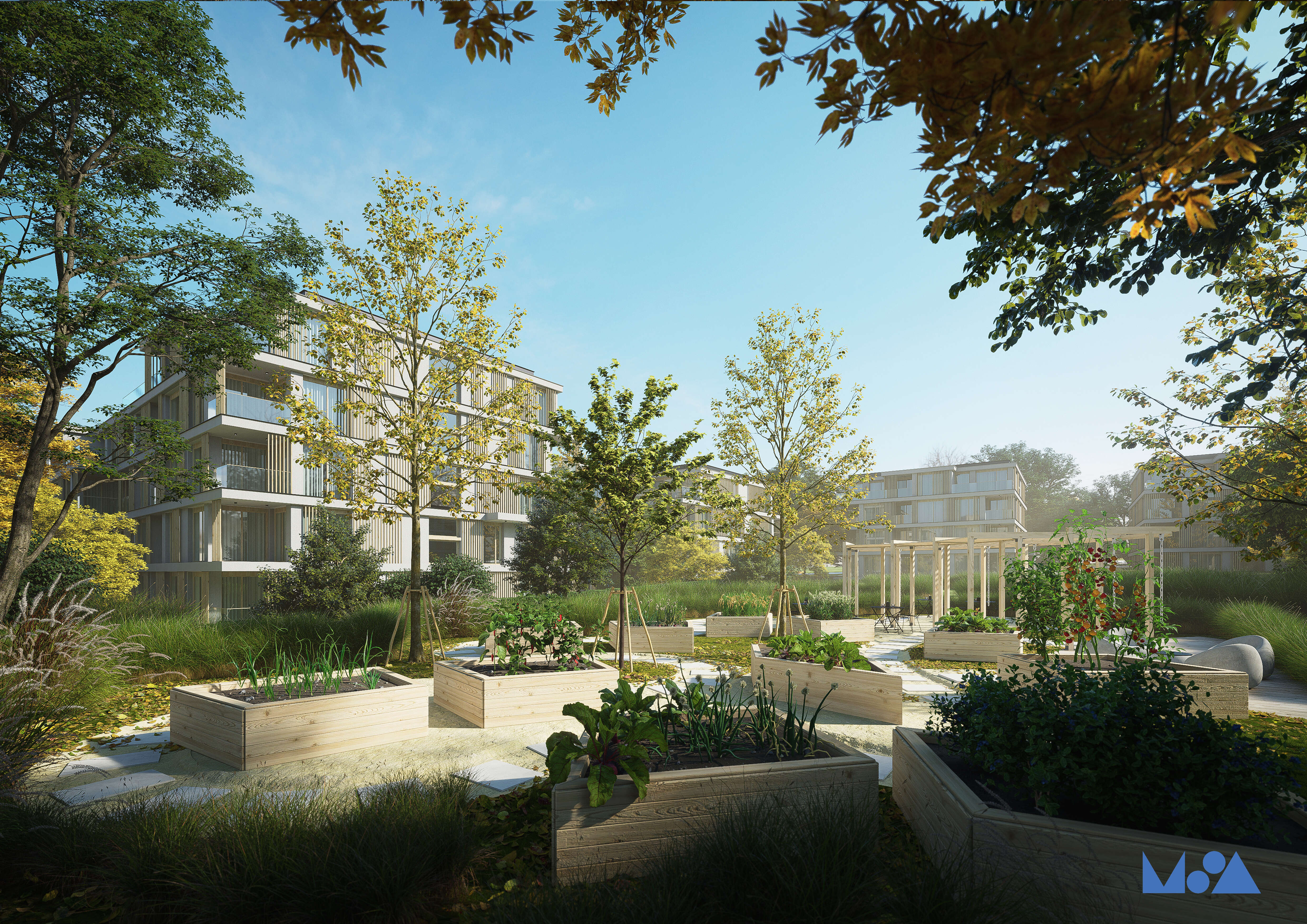 Mfd Project MFD Management | Development Management & Investment